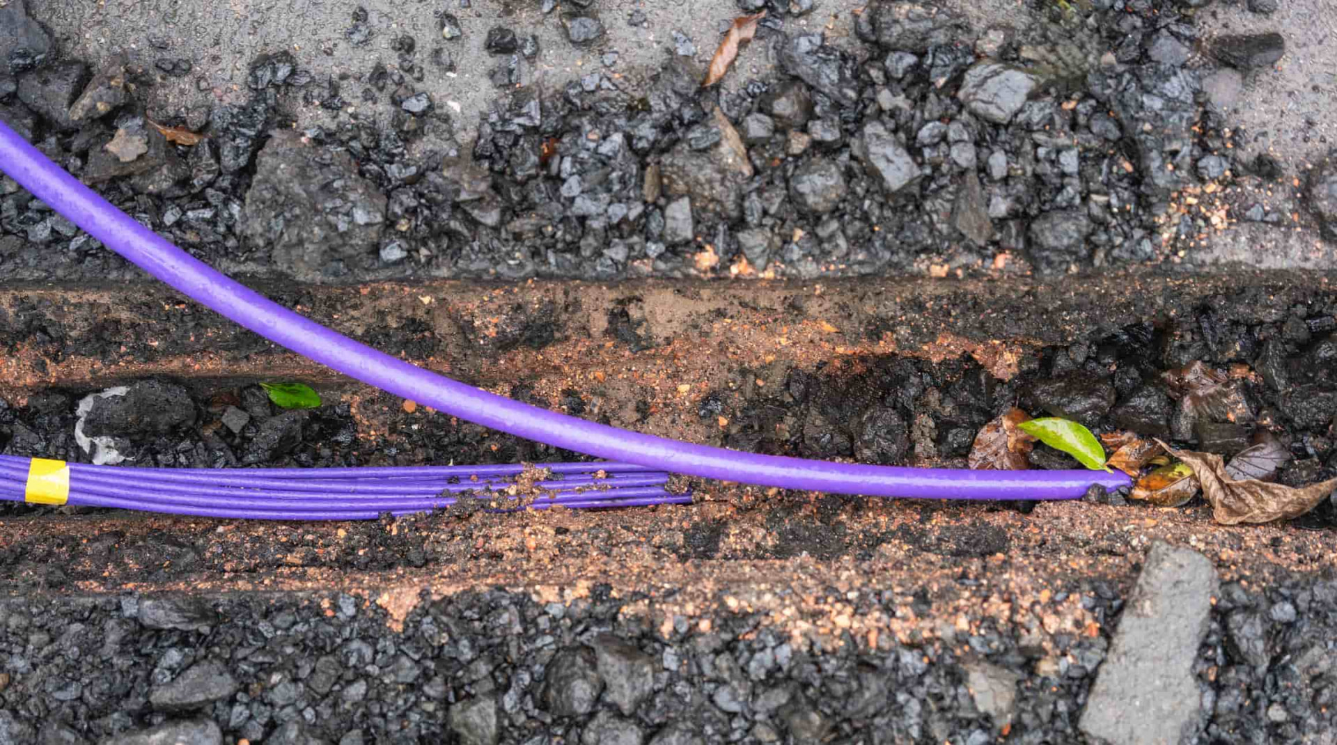Protecting fibre infrastructure from environmental risks