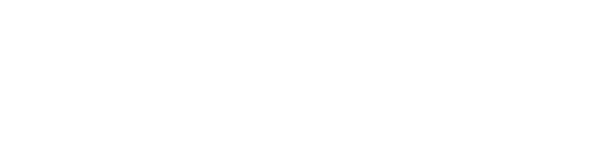 Altnets company logo